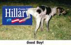 Hillary.jpeg