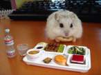 Feeding time.jpg