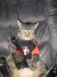 Picture_043.jpg