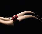 Rose [18+].jpg