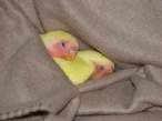 Snuggle.jpg