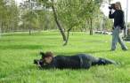 Camera.jpg