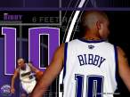 bibby1024_0304.jpg