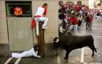 Bull.jpg