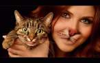 Cat Face.jpg