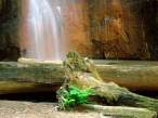 Waterfall.jpg