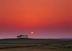 Sun Down.jpg