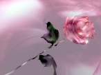 wallpapers_cool-a_108.jpg