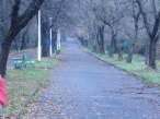 Long Way.jpg