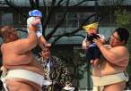 Sumo.jpg