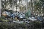 Junk yard [18+].jpg