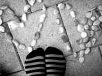 Rock Socks.jpg