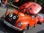 Real live bettle.jpg