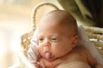 Baby.jpg