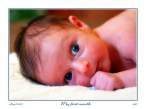 Little baby.jpg
