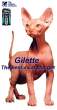 Gilettead_01.jpg