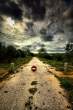 Road.jpg