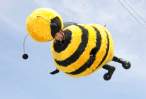 Big Bee.jpg