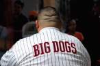 Big dogs.jpg