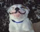 Smiling.jpg