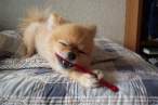 Bite.jpg
