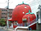 Strawberry.jpg