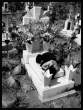 Sepulchral_Love_II_by_Amiba.jpg