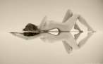 Mirror [18+].jpg
