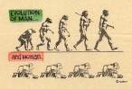 Evolution.jpg