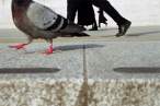 Walk.jpg