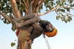 Hanging.jpg