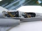 DSCF6475.jpg
