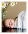 Flower baby.jpg