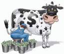 Money cow.jpg