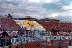 livorno3.jpg