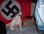 Heil.jpg