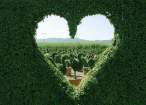 Heart.jpg