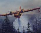 cl-415.jpg