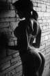 Ass [18+].jpg