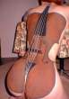 ass_violin[1].jpg