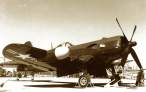 124493gj5.jpg