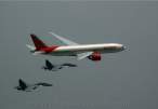 B777-02.jpg