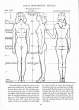 (eBook - English) Andrew Loomis - Figure Drawing - For All It's Worth_Page_020_Image_0001.jpg