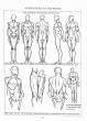 (eBook - English) Andrew Loomis - Figure Drawing - For All It's Worth_Page_037_Image_0001.jpg