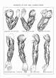 (eBook - English) Andrew Loomis - Figure Drawing - For All It's Worth_Page_056_Image_0001.jpg
