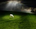The_Pale_Horse_Under_Clouds_WP_by_maeglinsorrowbringer.JPG