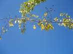IMG_4147.jpg