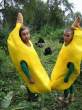 Bananas.jpg