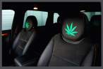 Weed Porsche.jpg