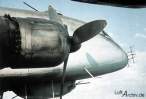 ju2901.jpg